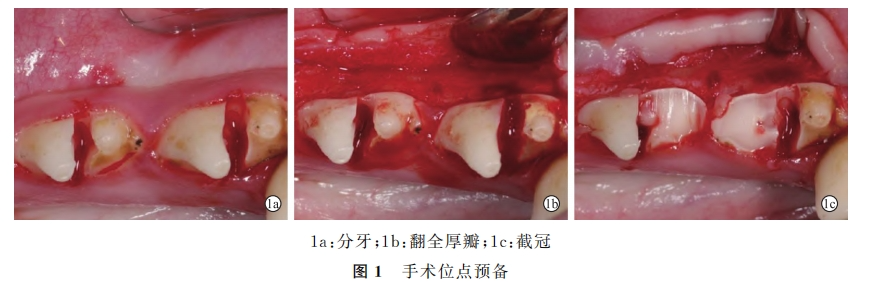 640_wx_fmt=png&from=appmsg&tp=webp&wxfrom=5&wx_lazy=1&wx_co=1.png 640_wx_fmt=png&from=appmsg&tp=webp&wxfrom=5&wx_lazy=1&wx_co=1.png