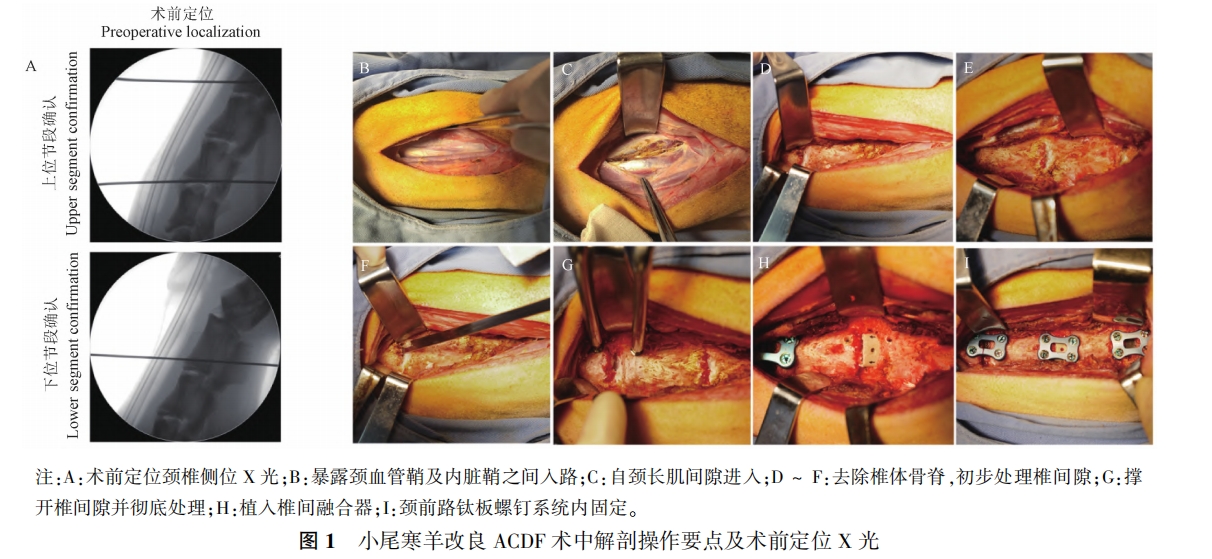 图1.png 图1.png