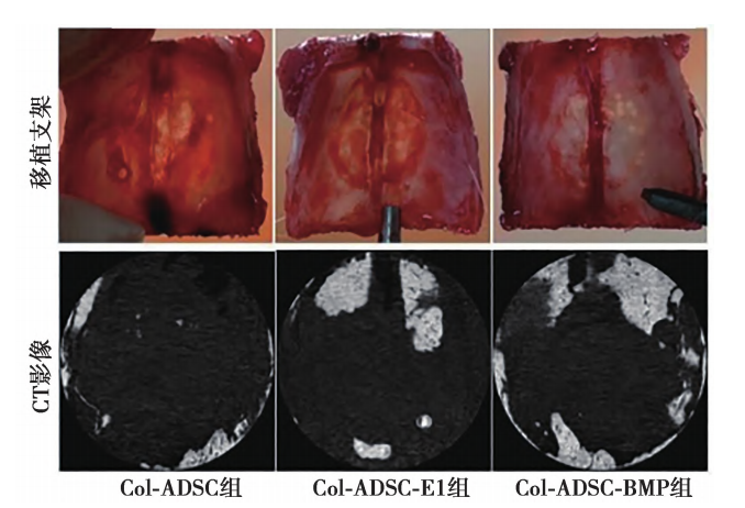 wechat_2025-11-04_101647_188.png wechat_2025-11-04_101647_188.png